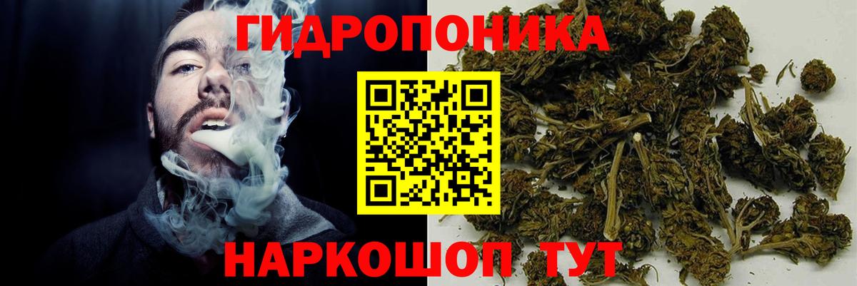 Бошки марихуана Bruce Banner  Конопля план  Бошки марихуана индика  Вход с VPN  Альметьевск 